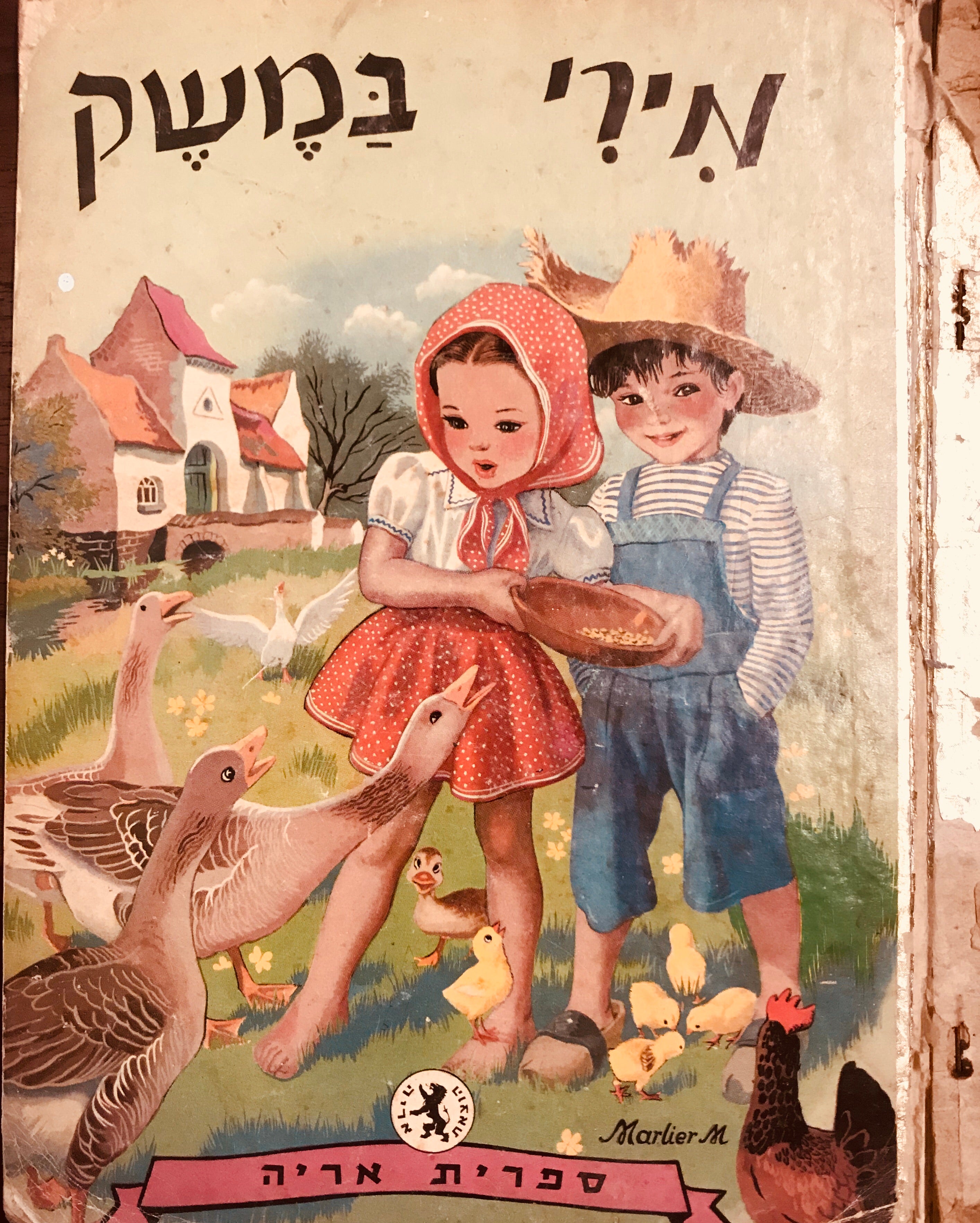 מירי במשק