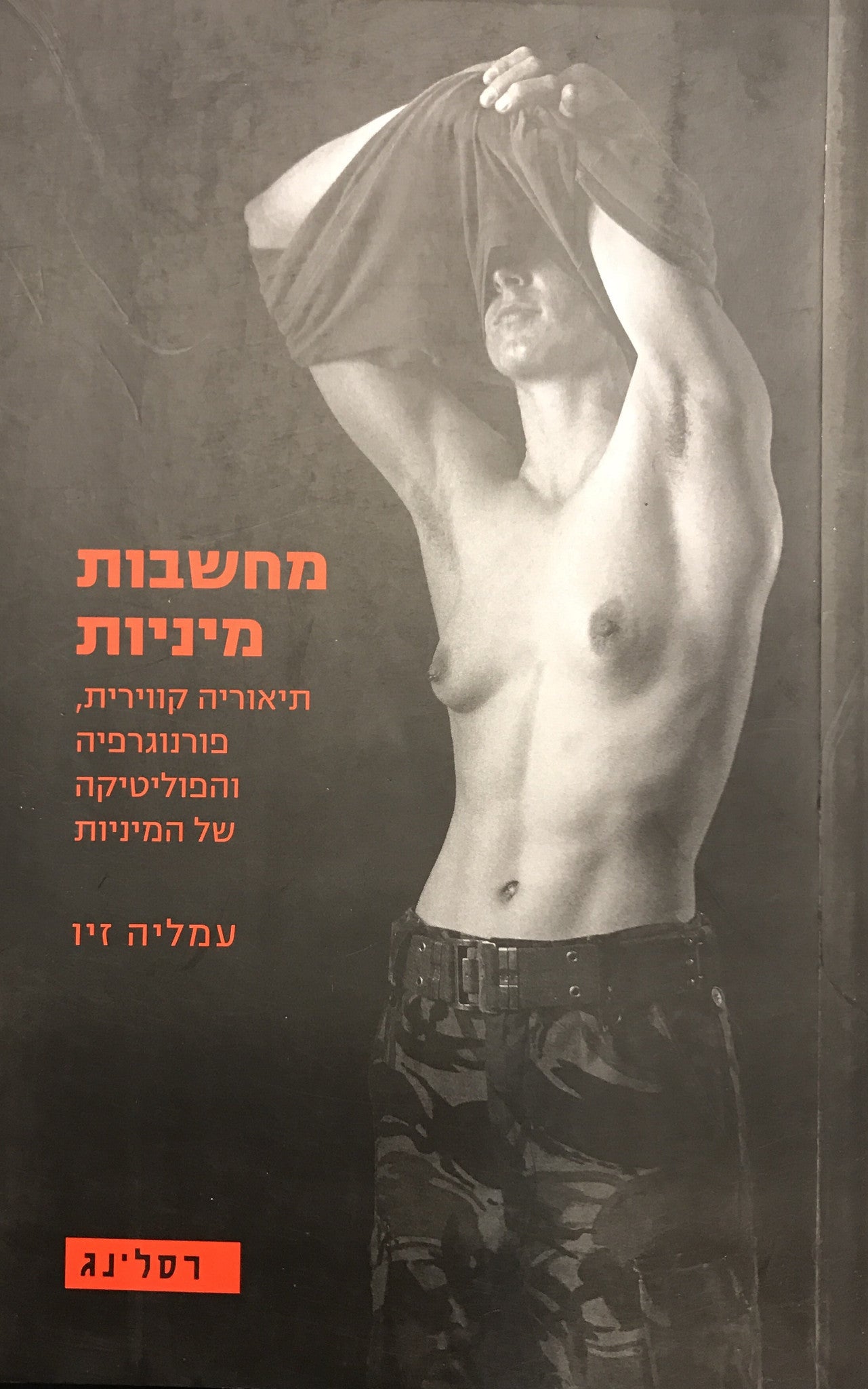 מחשבות מיניות/ תיאוריה קווירית, פורנוגרפיה והפוליטיקה של המיניות
