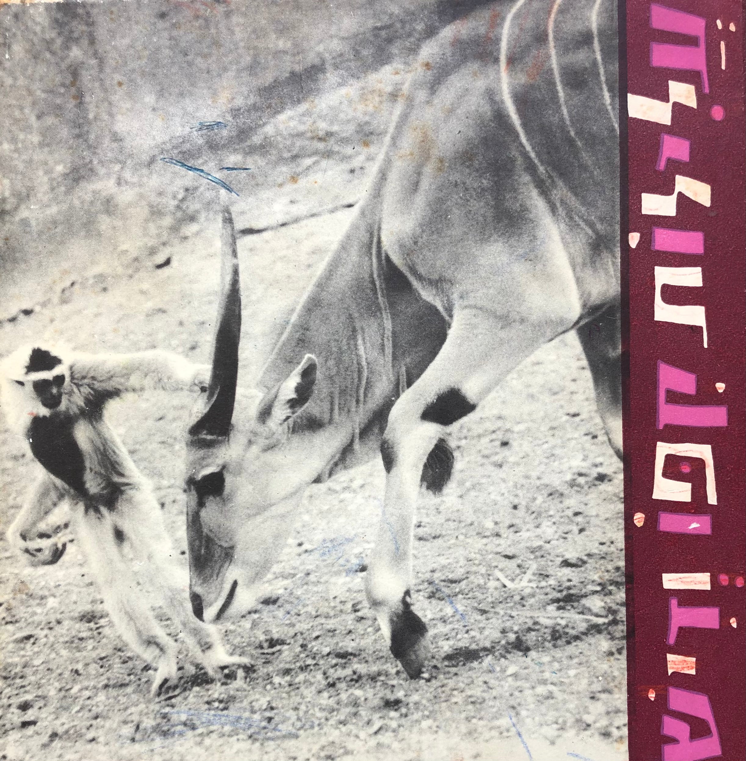 עלילות קפו ודיש