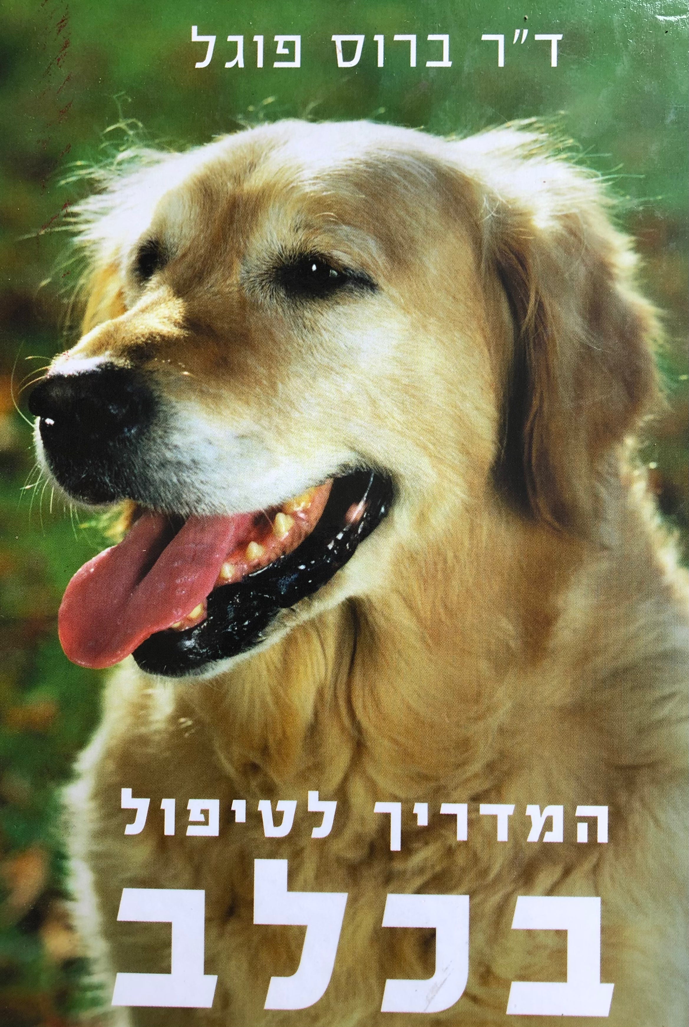 המדריך לטיפול בכלב
