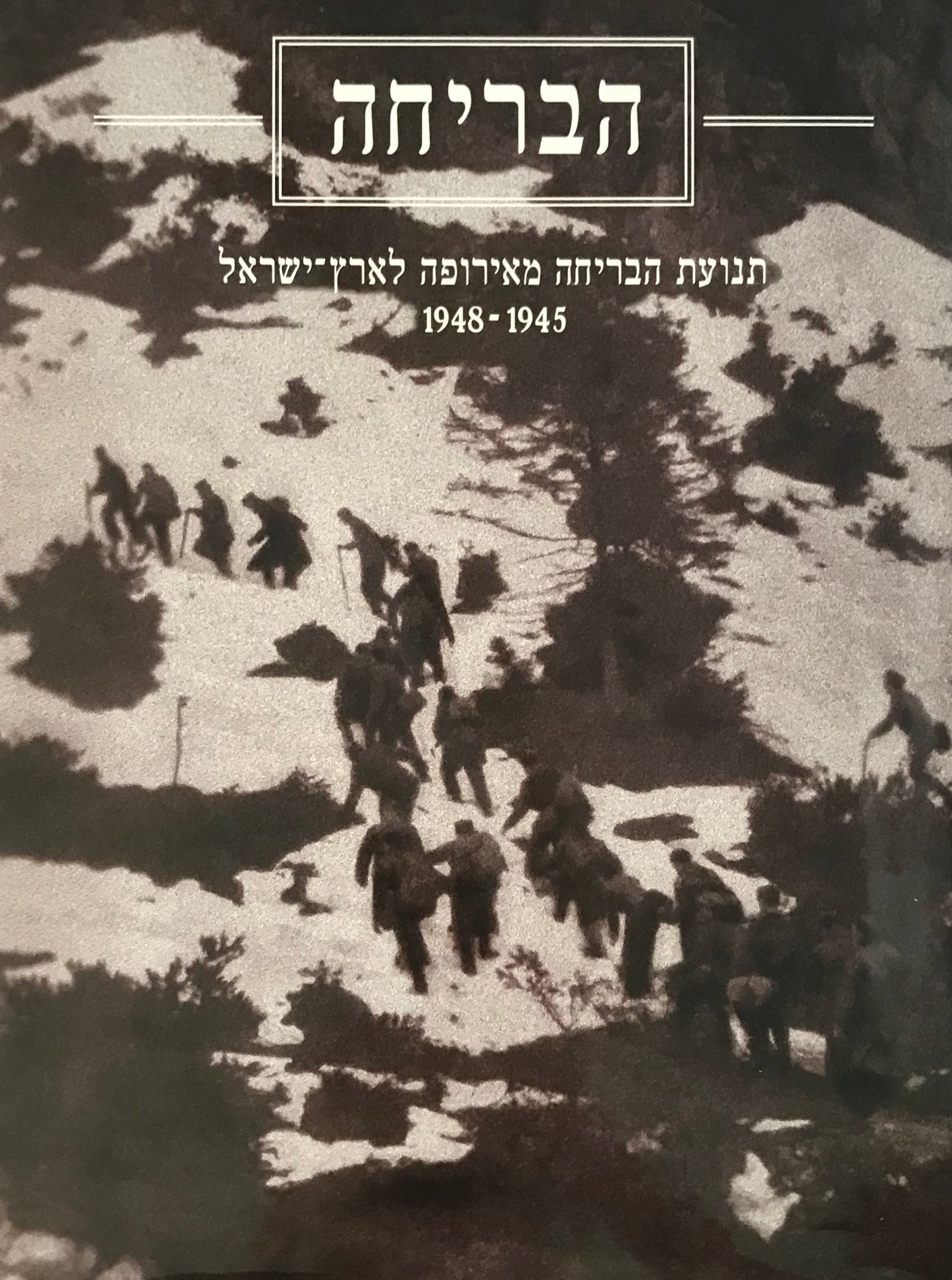 הבריחה / תנועת הבריחה מאירופה לארץ ישראל 1945-1948