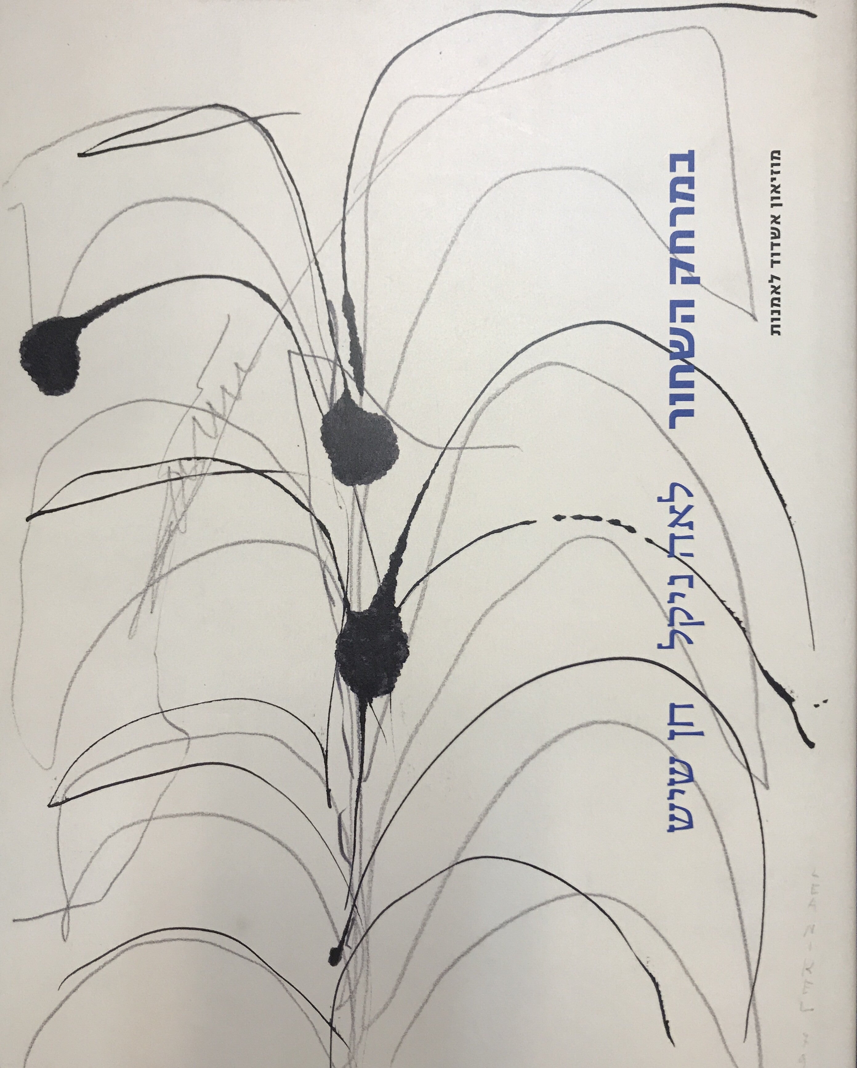 במרחק השחור / לאה ניקל / חן שיש