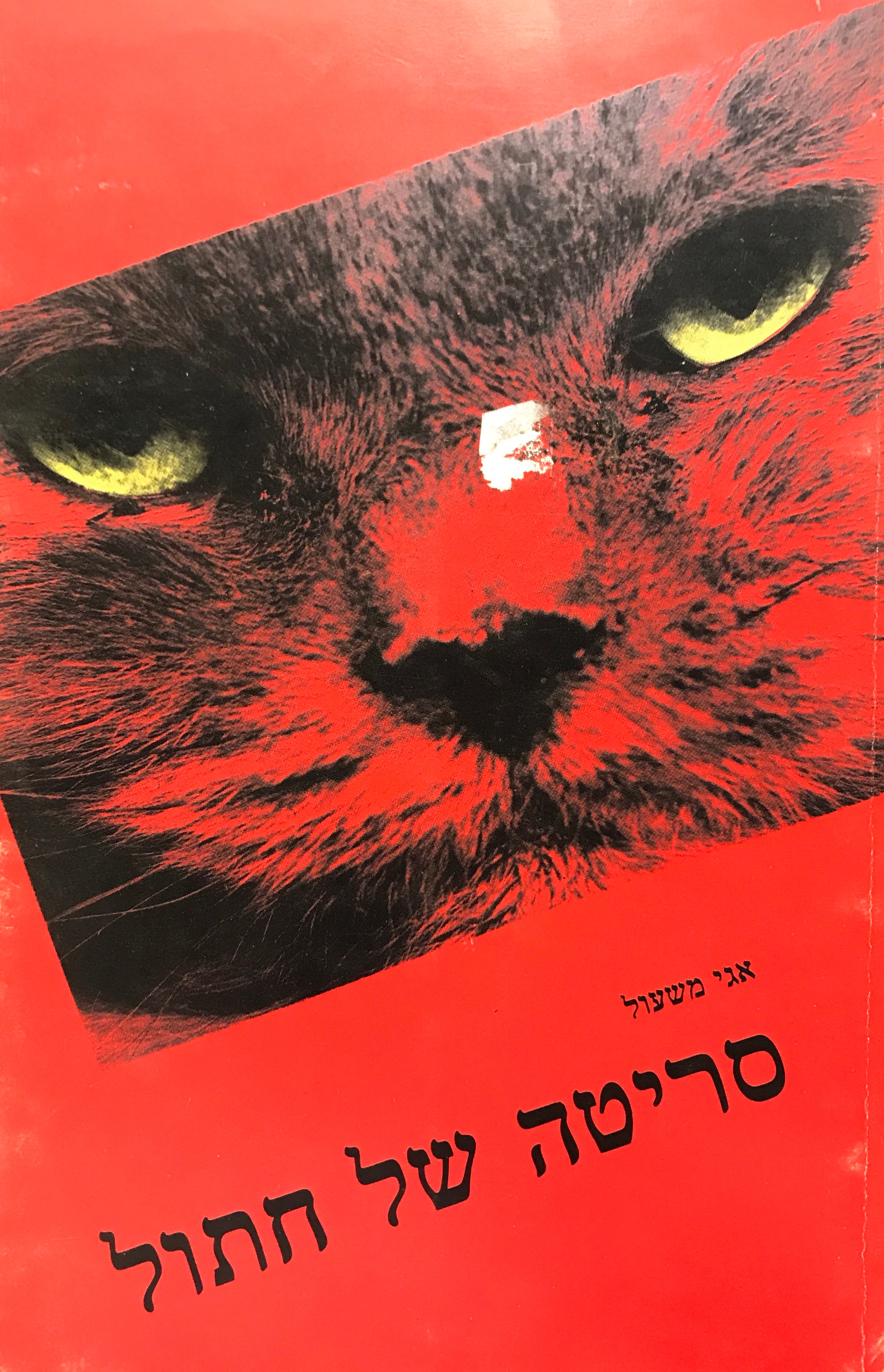 סריטה של חתול